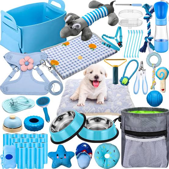 🐇 Pet Supplies 🏷️