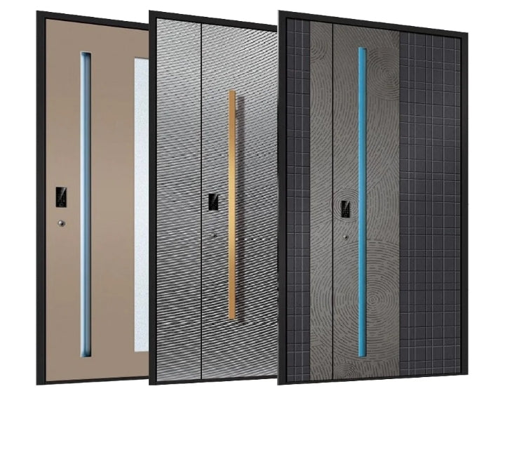 Modern Aluminum Alloy Entrance Security Door